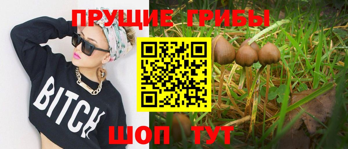 Галлюциногенные грибы прущие грибы Луга